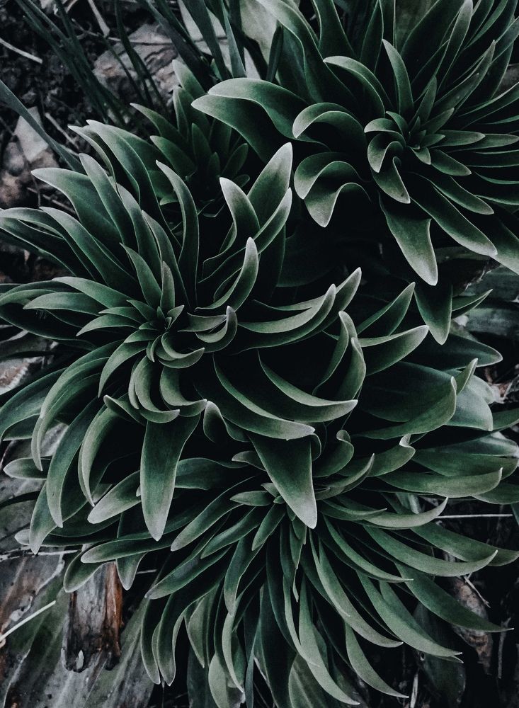 Photograph by Ирина Фролова