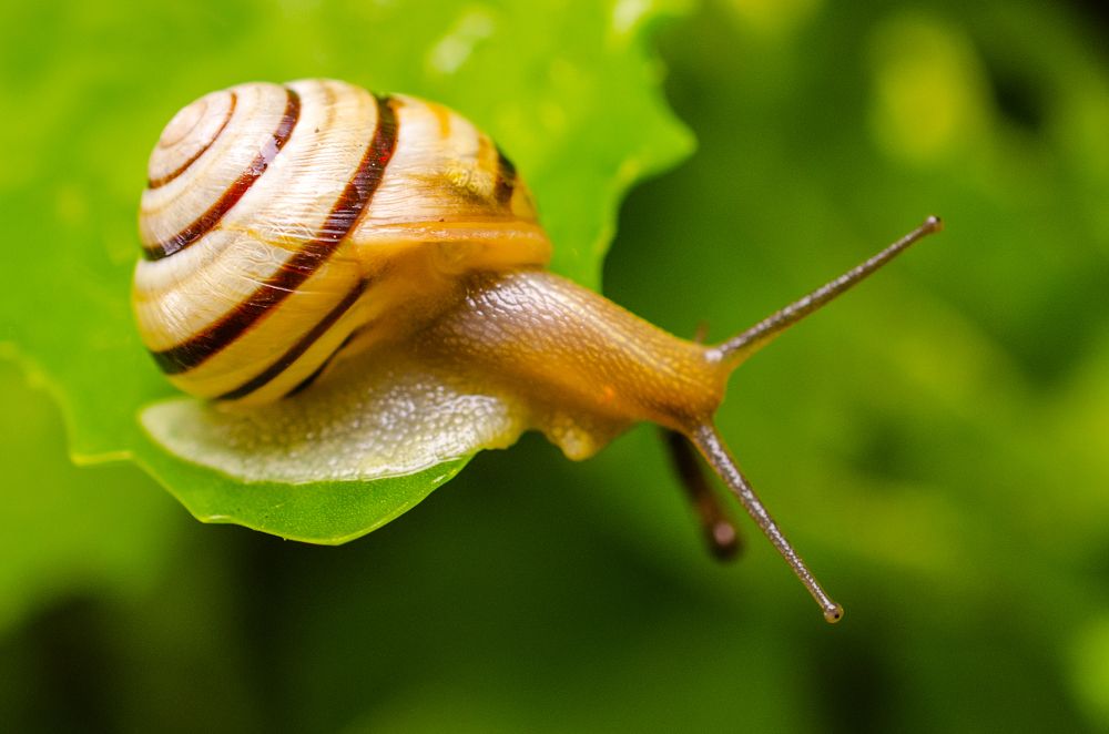 Photograph by Евгений Каримов