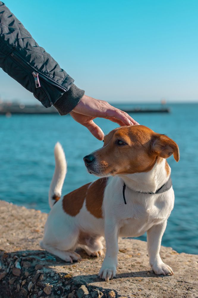 Photograph by Марина Брик