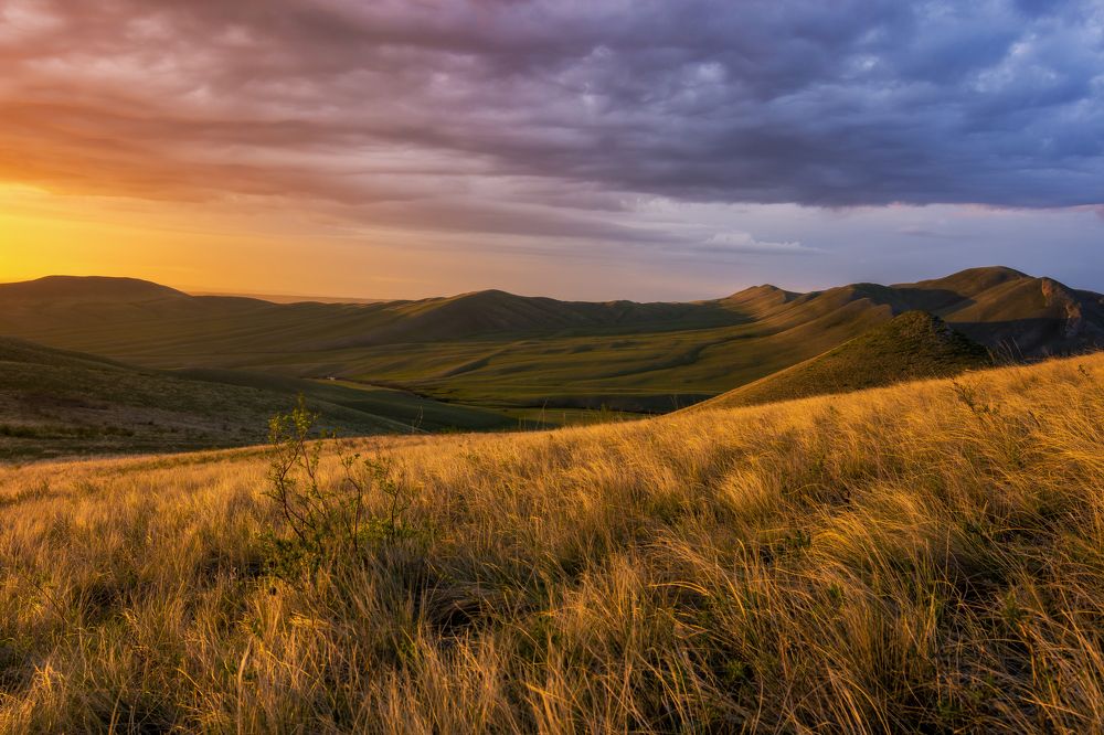 Photograph by Андрей Шарапов