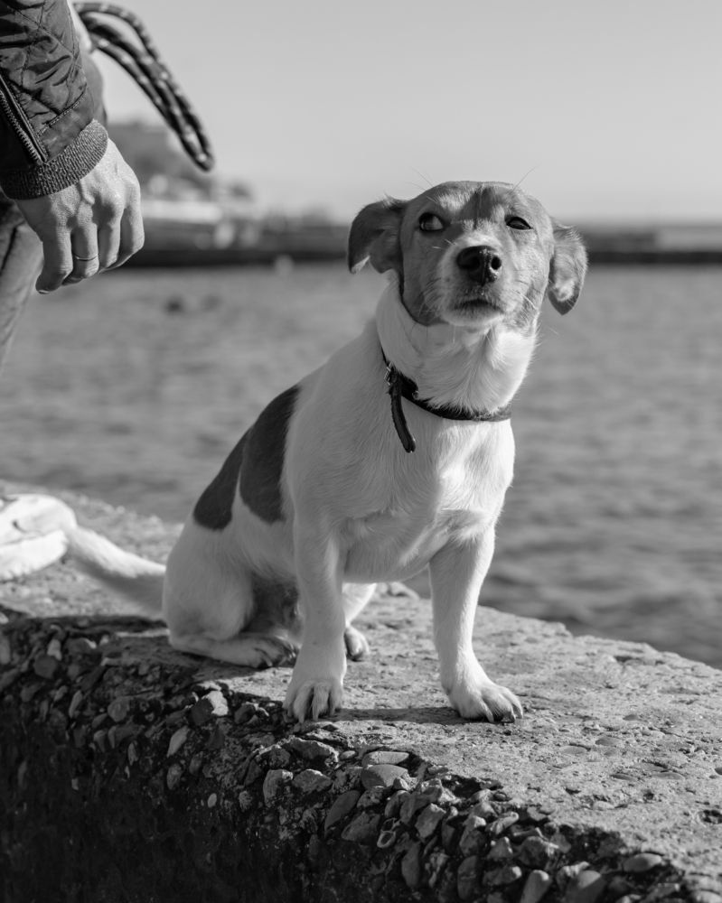 Photograph by Марина Брик