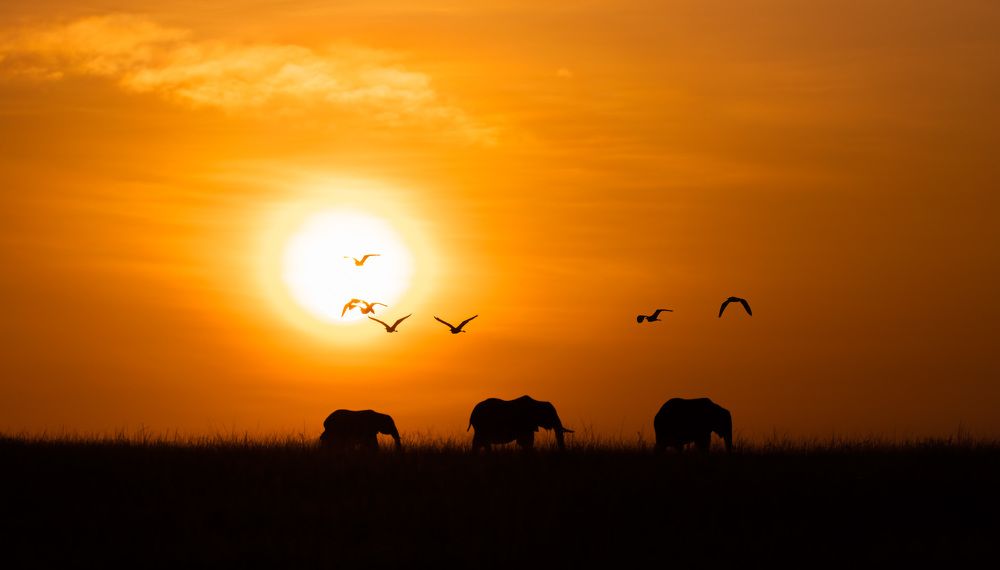 Photograph by Magali Guerin