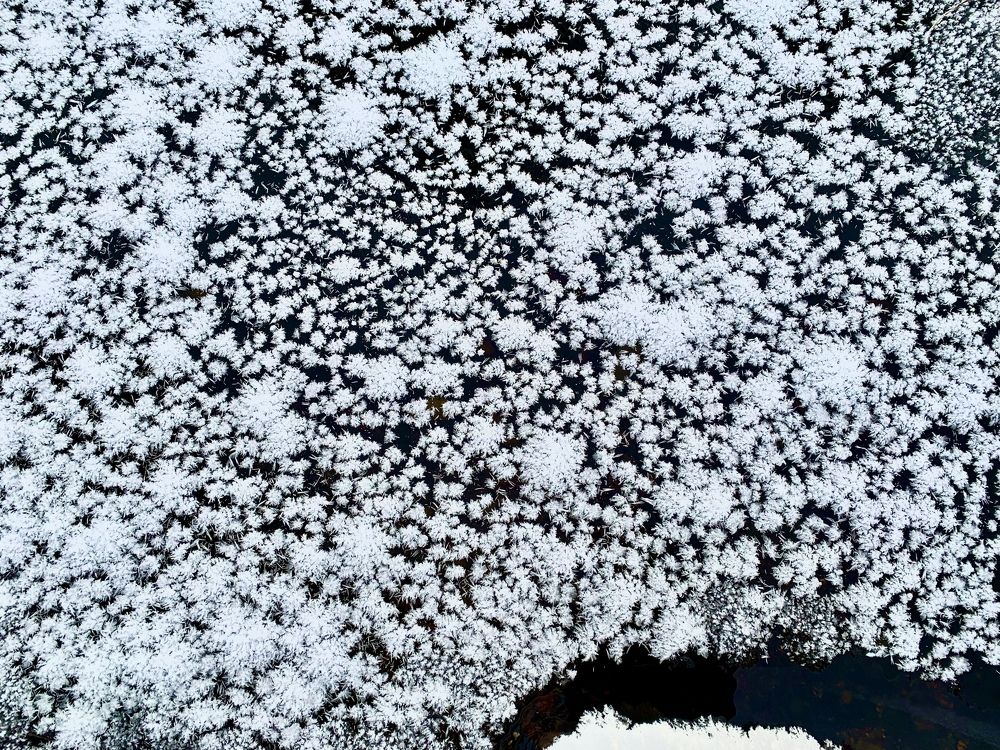 Photograph by Казимирова Юлия