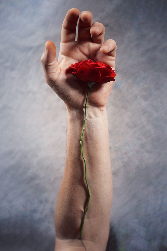 Photograph by Людмила Волкова