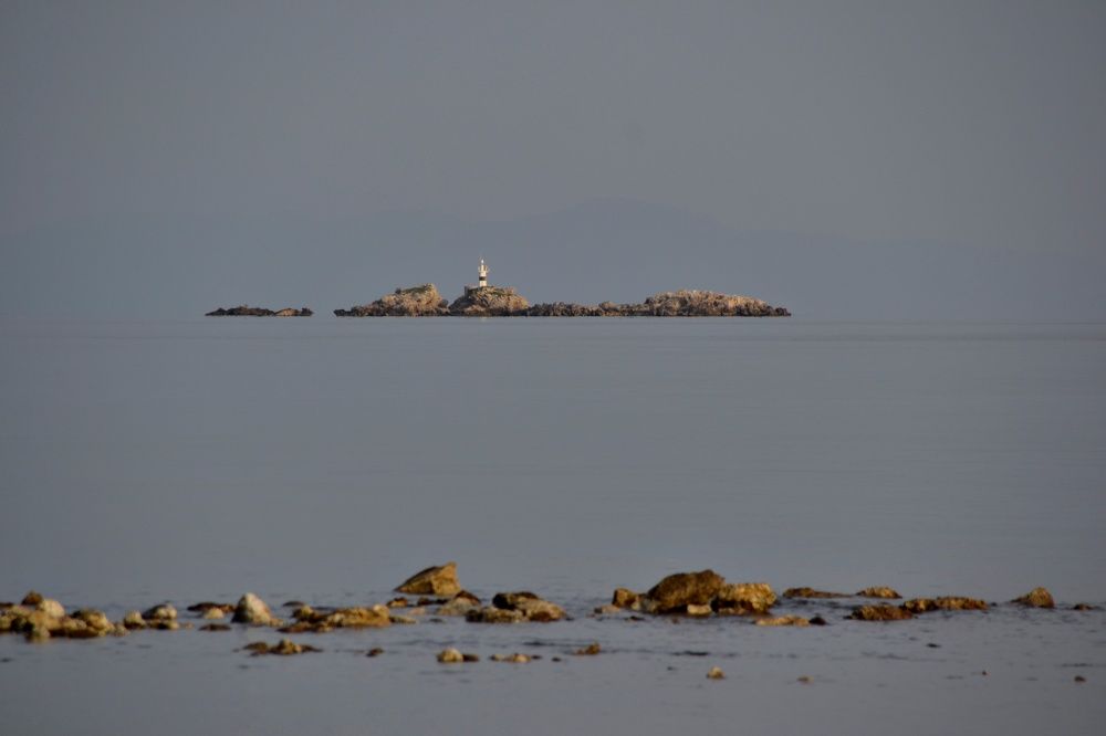 Photograph by NINA NOVIKOVA