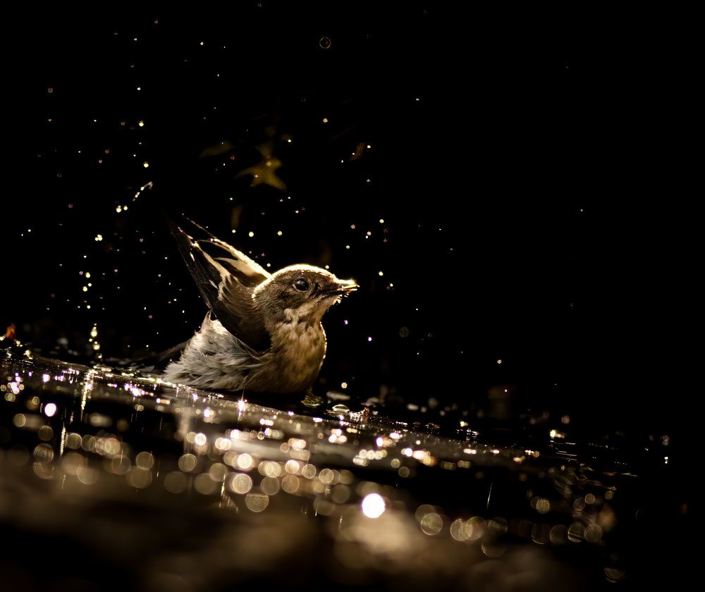 Photograph by Magali Guerin