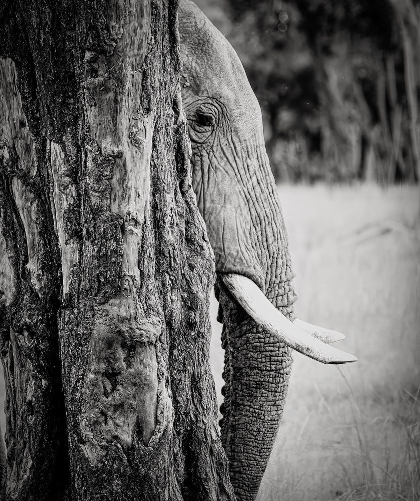 Photograph by Magali Guerin