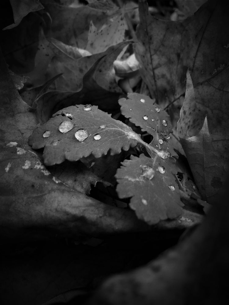 Фотография автора Владислава Андрюнина