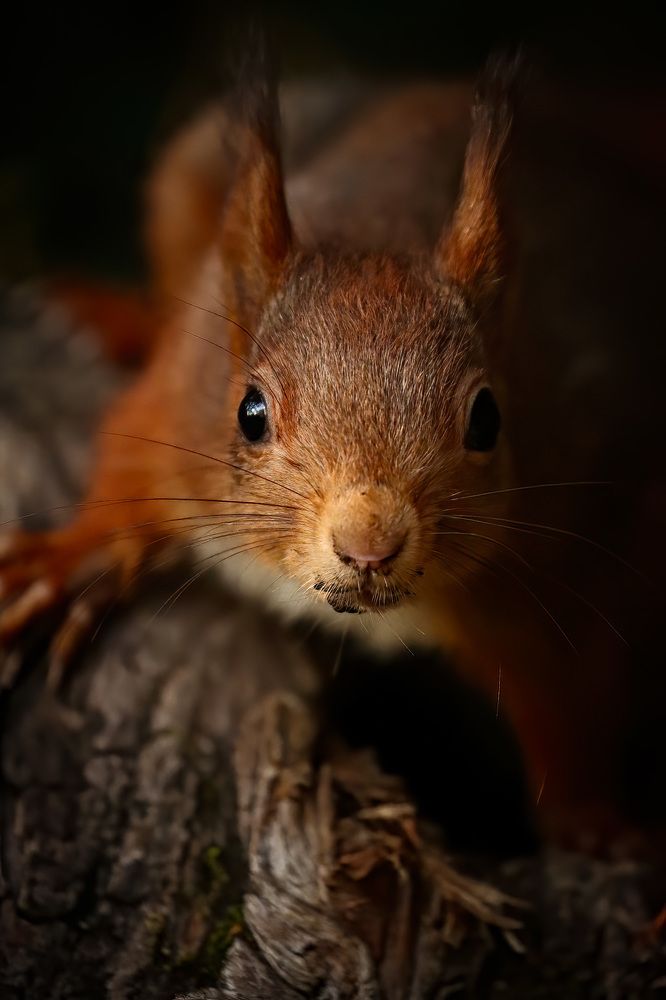 Photograph by Magali Guerin