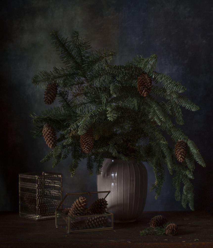 Photograph by Алина Ланкина