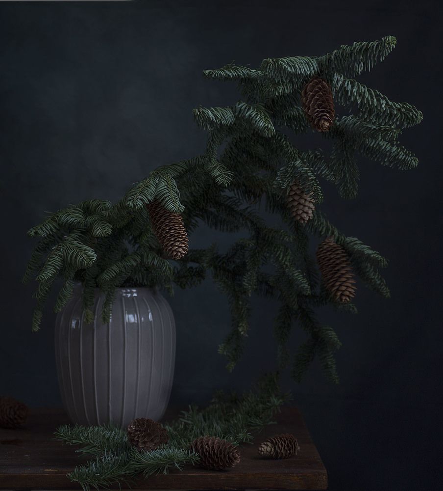 Фотография автора Алина Ланкина