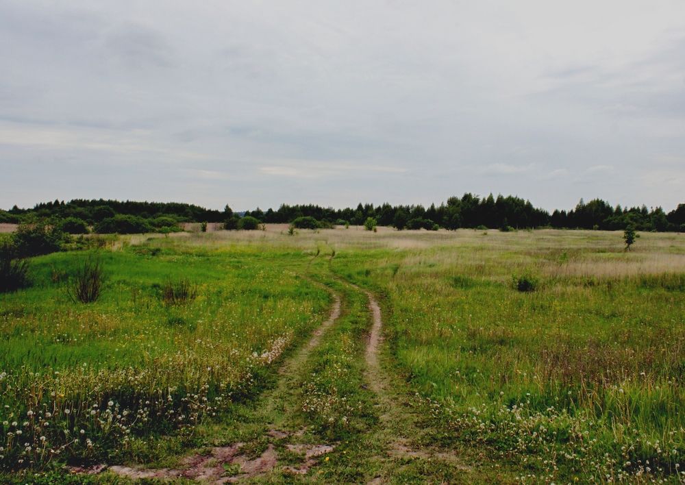 Photograph by Константин Горцев