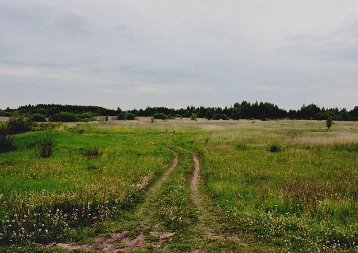 Photo #7259259