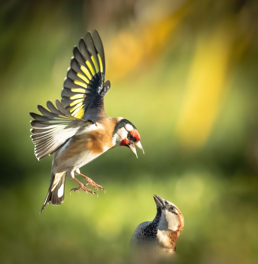 Photograph by CANG BOUN