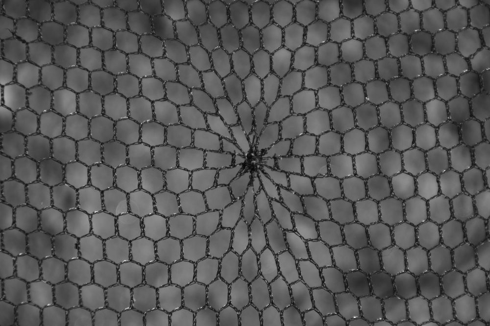 Фотография автора Анастасия Зверева