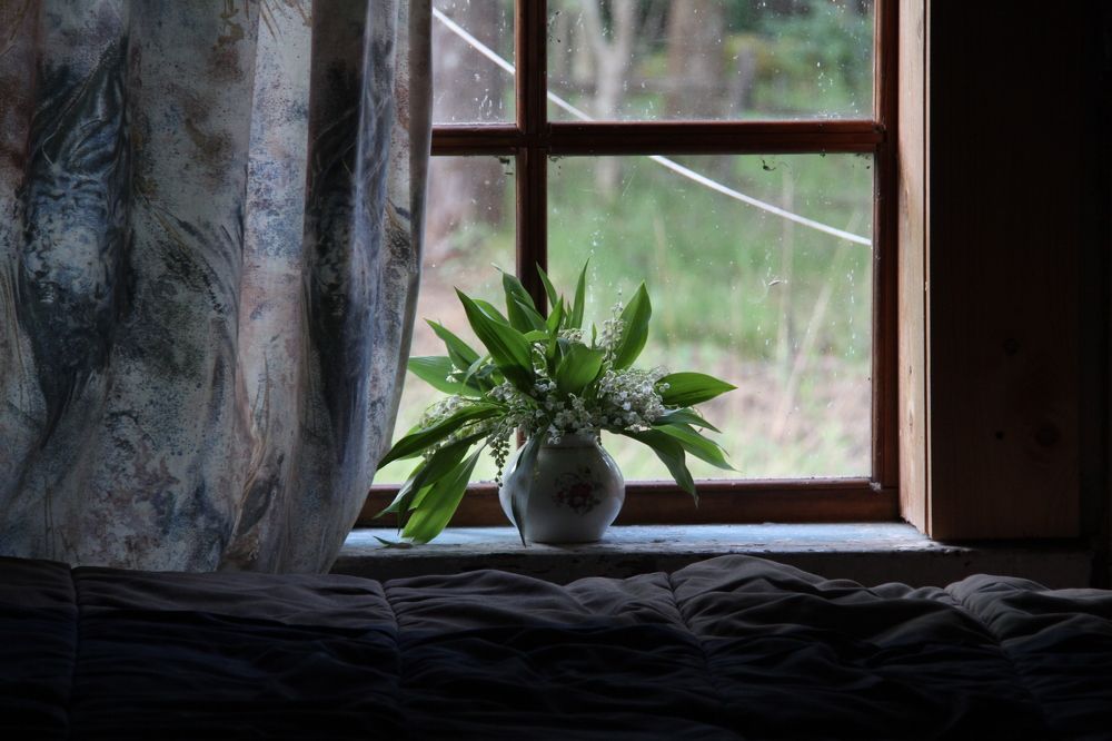 Фотография автора Анастасия Зверева