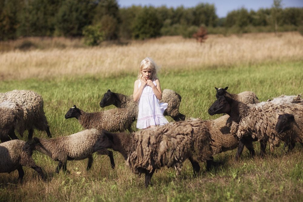 Фотография автора Дарья Мо