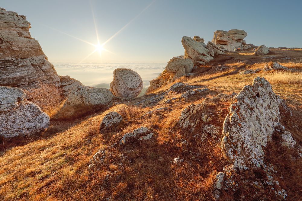 Photograph by Анастасия Калинцева
