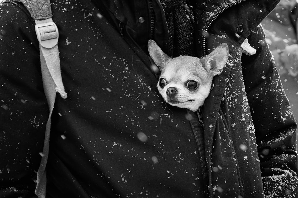 Photograph by Наталья Кулемина