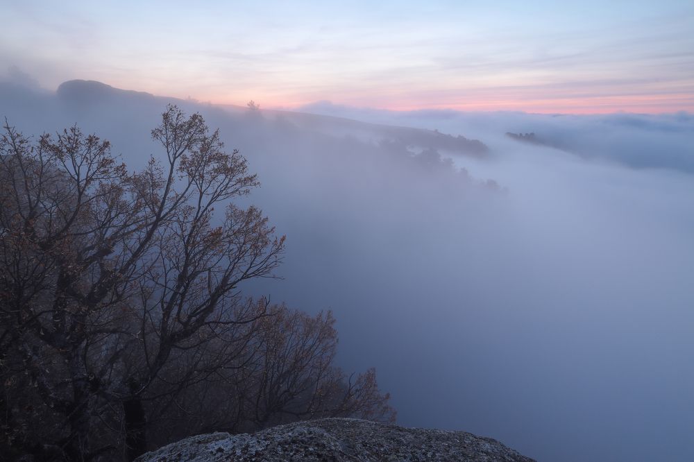 Photograph by Анастасия Калинцева