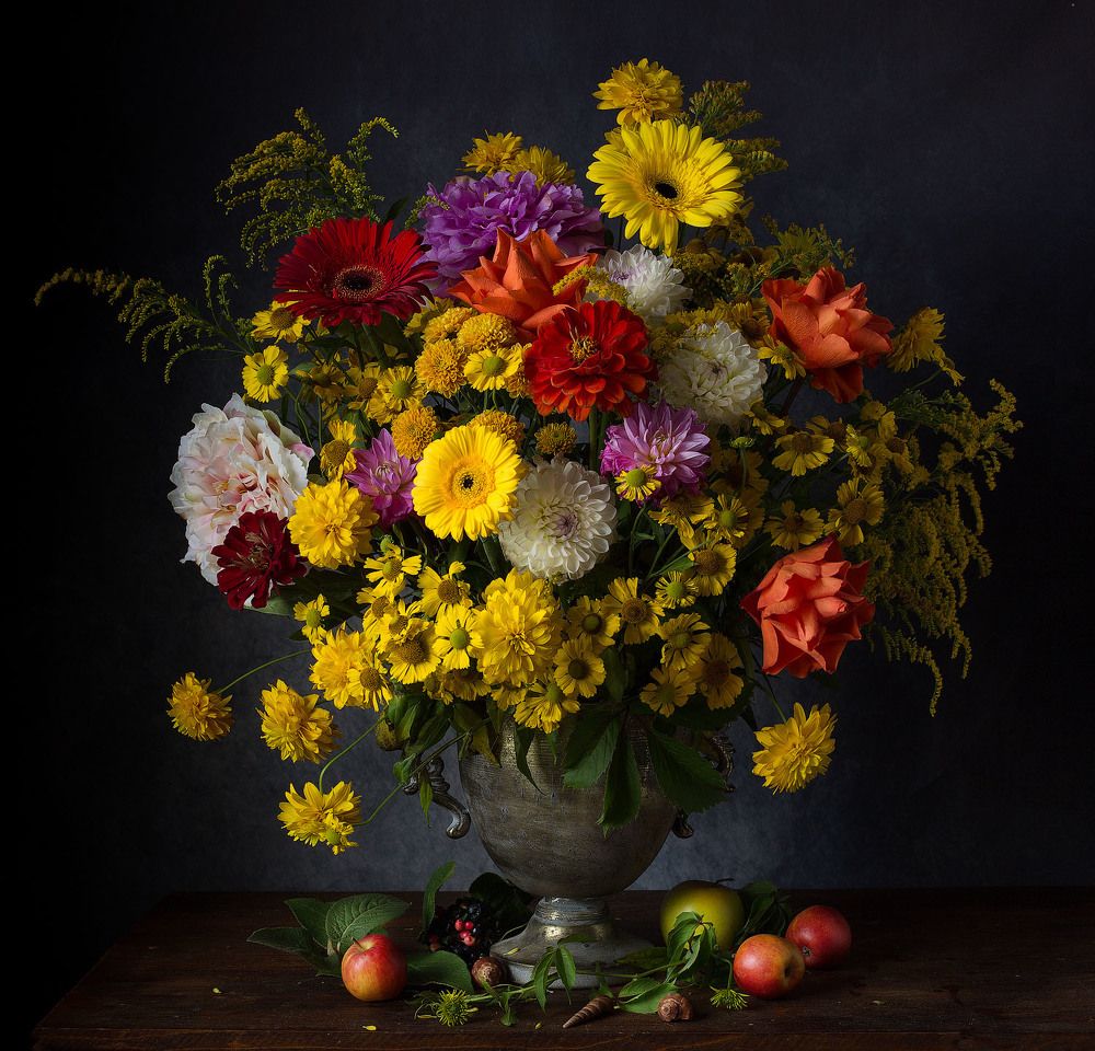 Фотография автора Алина Ланкина