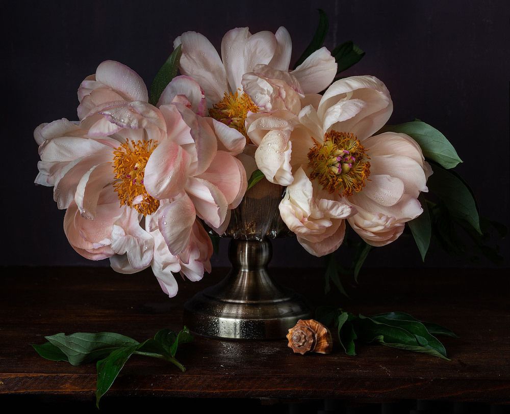 Фотография автора Алина Ланкина