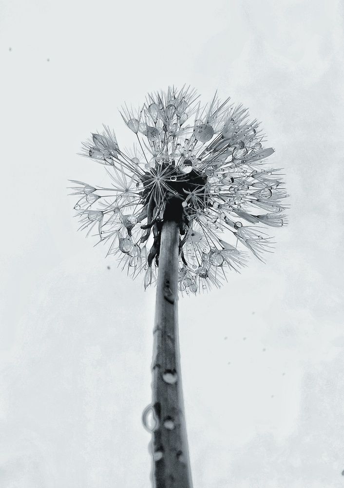 Photograph by Евгения Лушенкова