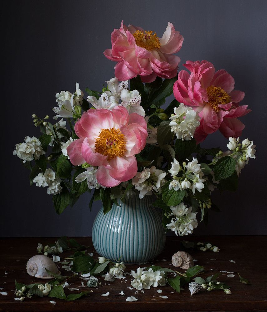 Фотография автора Алина Ланкина