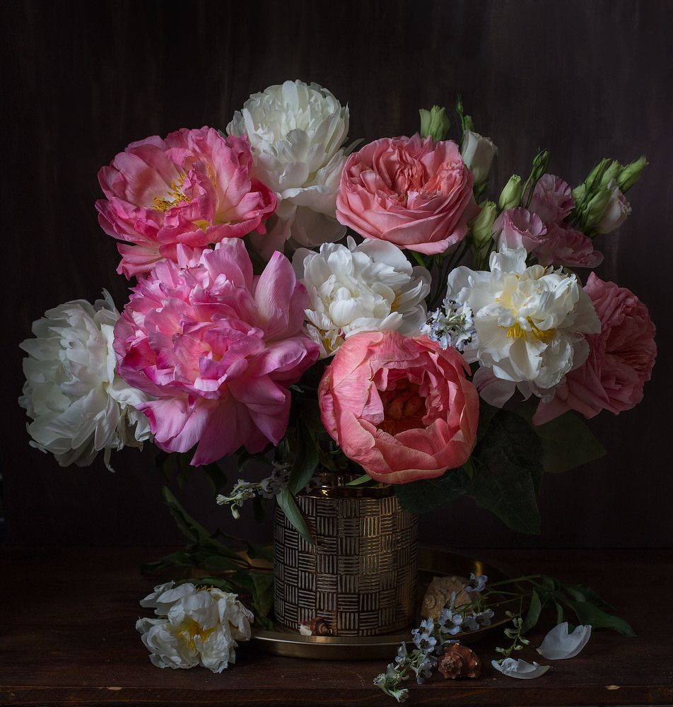 Фотография автора Алина Ланкина