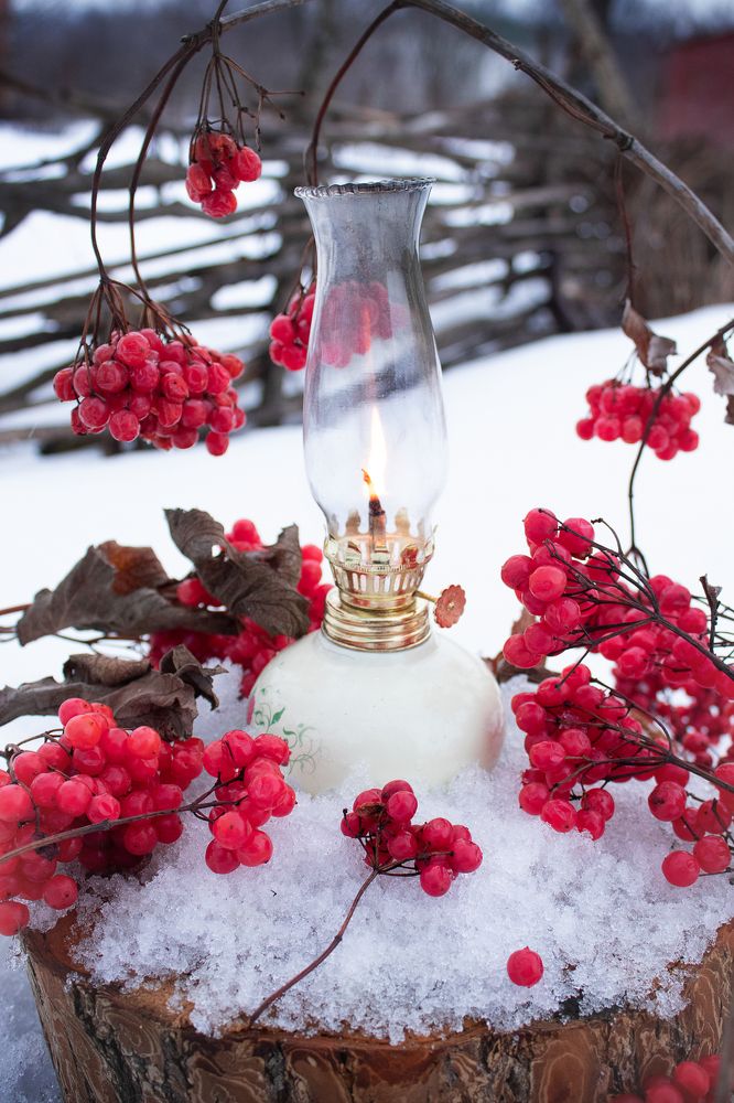 Последние ягоды калины