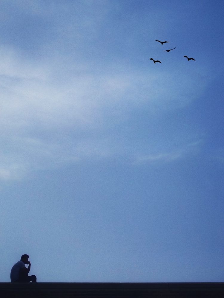 Photograph by Pourya Farajpour