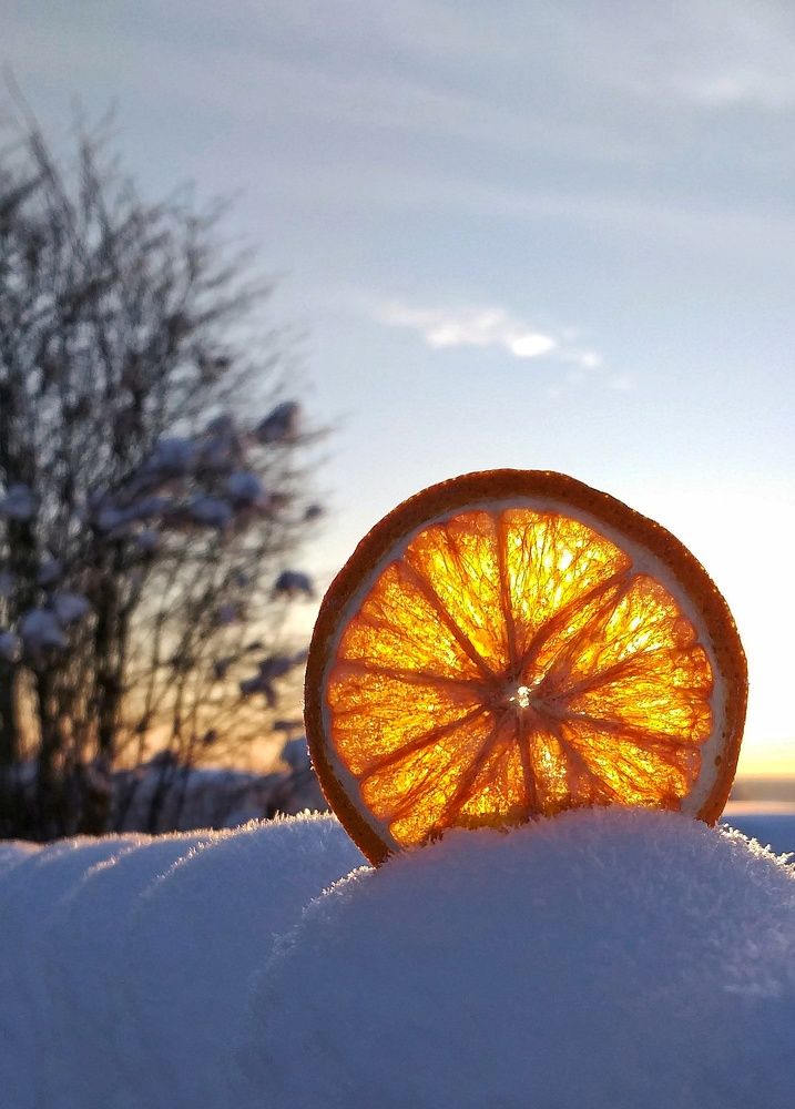 Photograph by Inna Kabanovich