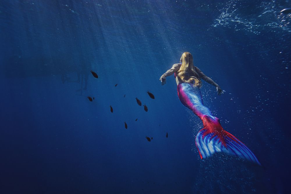 Photograph by Petr Kleiner