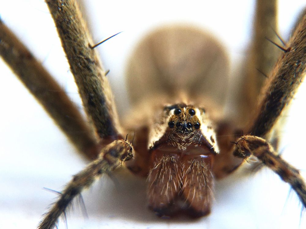 Photograph by Людмила Коныгина