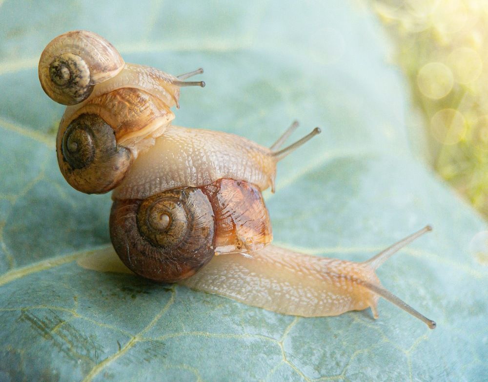 Photograph by Людмила Коныгина