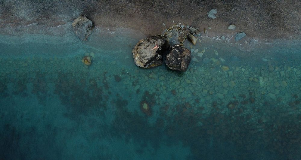 Photograph by ANDREY ZARUBIN