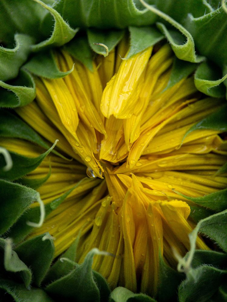 Photograph by Людмила Коныгина