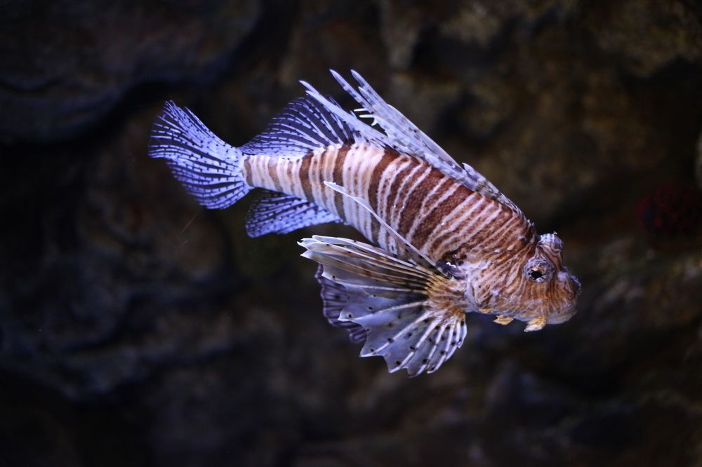 Photograph by Галина