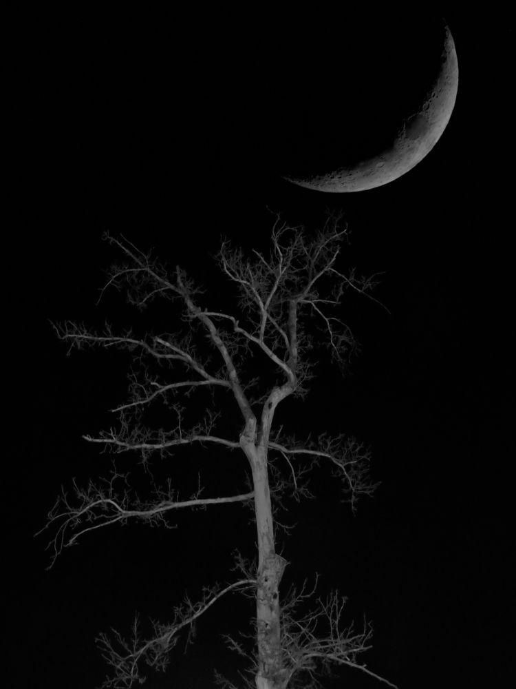 Фотография автора Mahdi Mohammadi