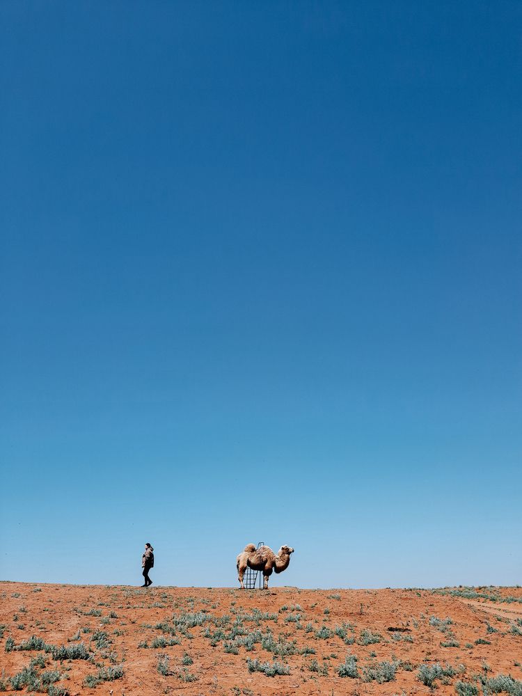 Photograph by Андрей Мартынов