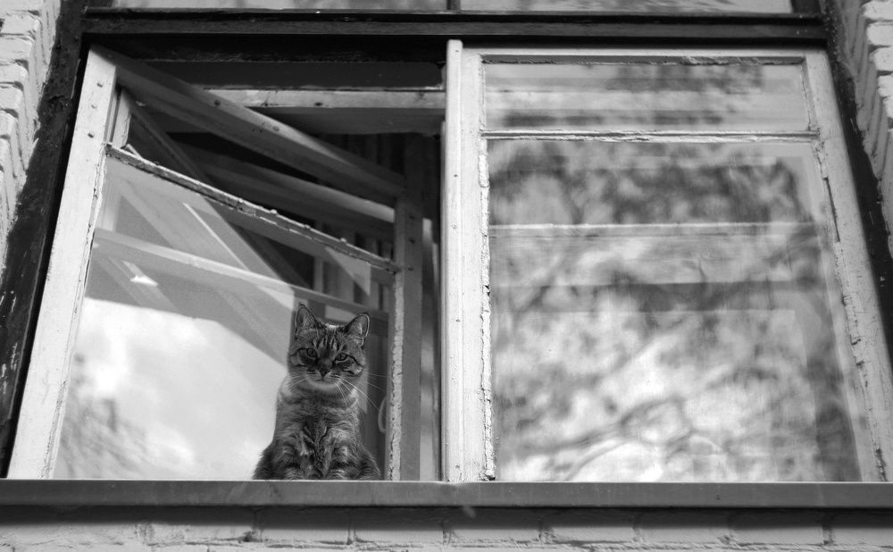 Photograph by Артем Гатин