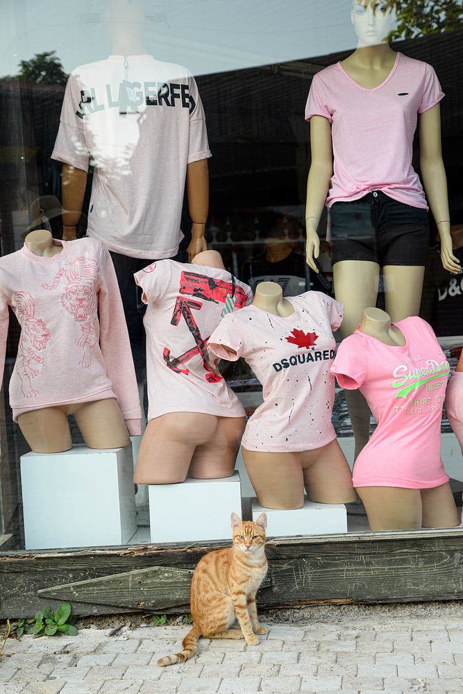 Photograph by Эдуард Шадров