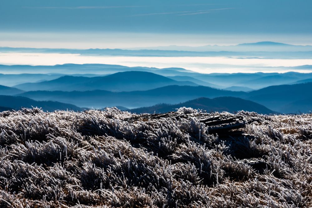 Photograph by Marek Kiraly