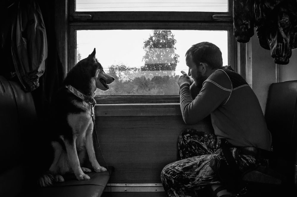 Photograph by Юлия Сухачева