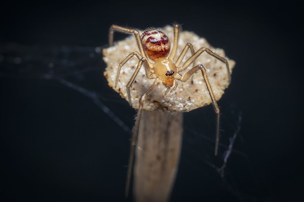 Photograph by Yang Yu