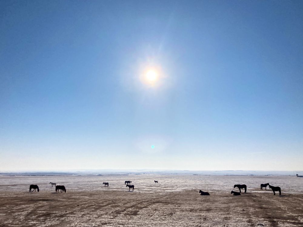 Photograph by Анастасия Павлова