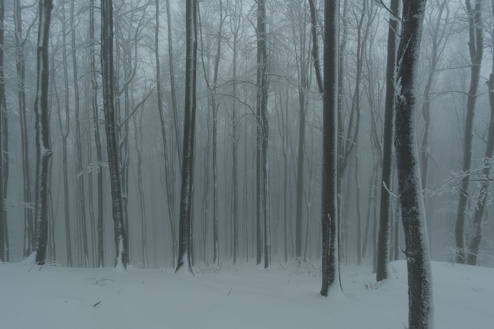 Фотография автора Stanislav Yendrek