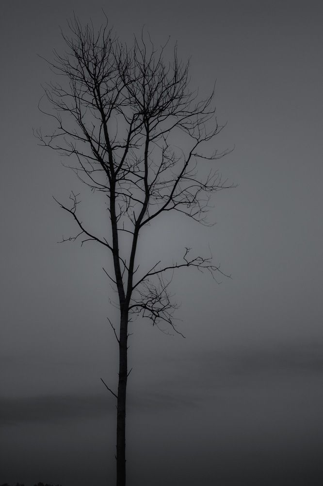 Фотография автора Вячеслав