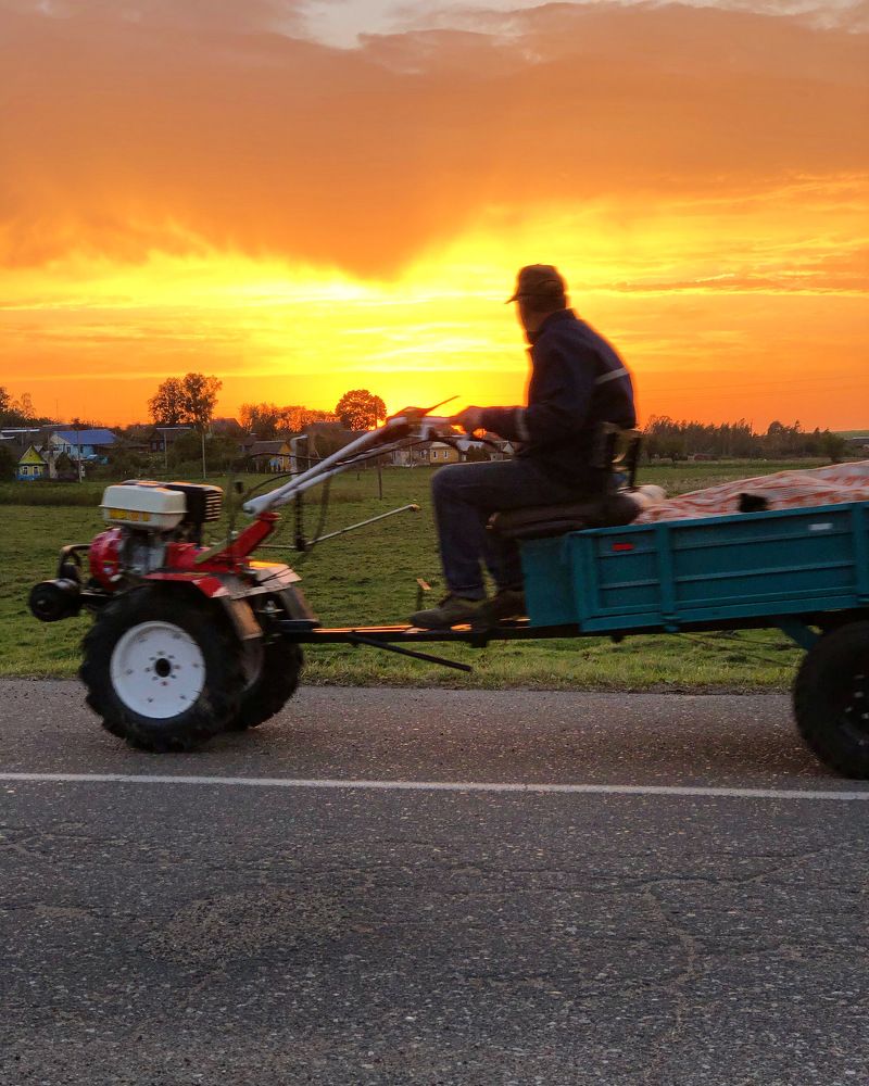 Деревенские будни