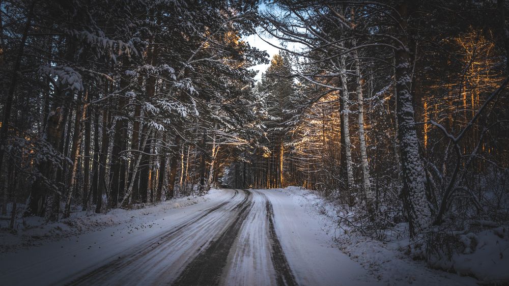 Photograph by Кузьмин Евгений